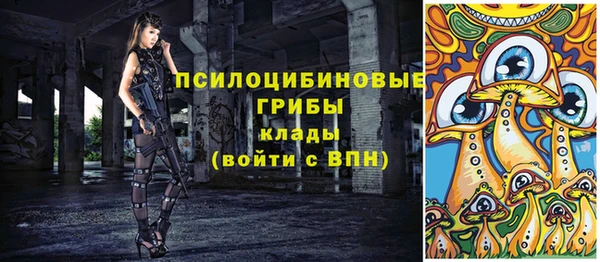 apvp Алексеевка